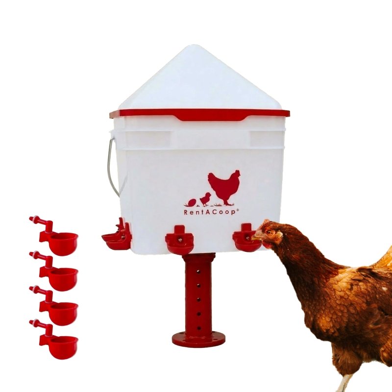 RentACoop 2 Gallon Chicken Waterer with 4 Cups and 4 Nipples - Corner Placement