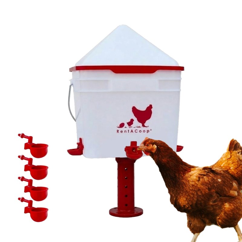RentACoop 2 Gallon Chicken Waterer with 4 Auto-Fill Water Cups and 4 Horizontal nipples