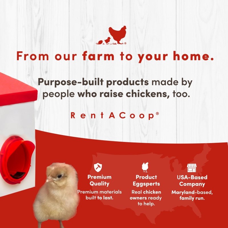 2.5lb Chick2Chicken BPA-Free Chicken Feeder