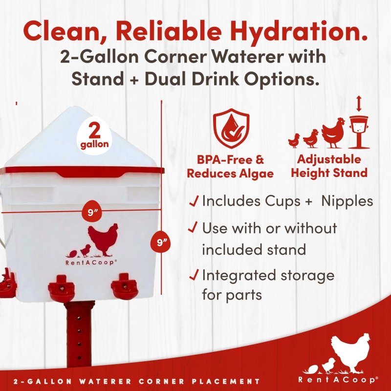 RentACoop 2 Gallon Chicken Waterer with 4 Cups and 4 Nipples - Corner Placement