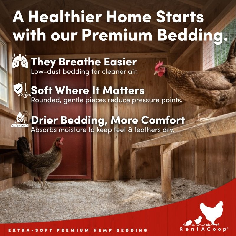 Premium Hemp Bedding (300 L) x 1 Pack - E.U. Grown for Chicken Coop, Nesting Boxes, Etc.