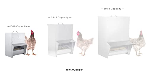 Galvanized Chicken Tough Feeder, Weatherproof Poultry Food Dispenser with Lid - 50lb