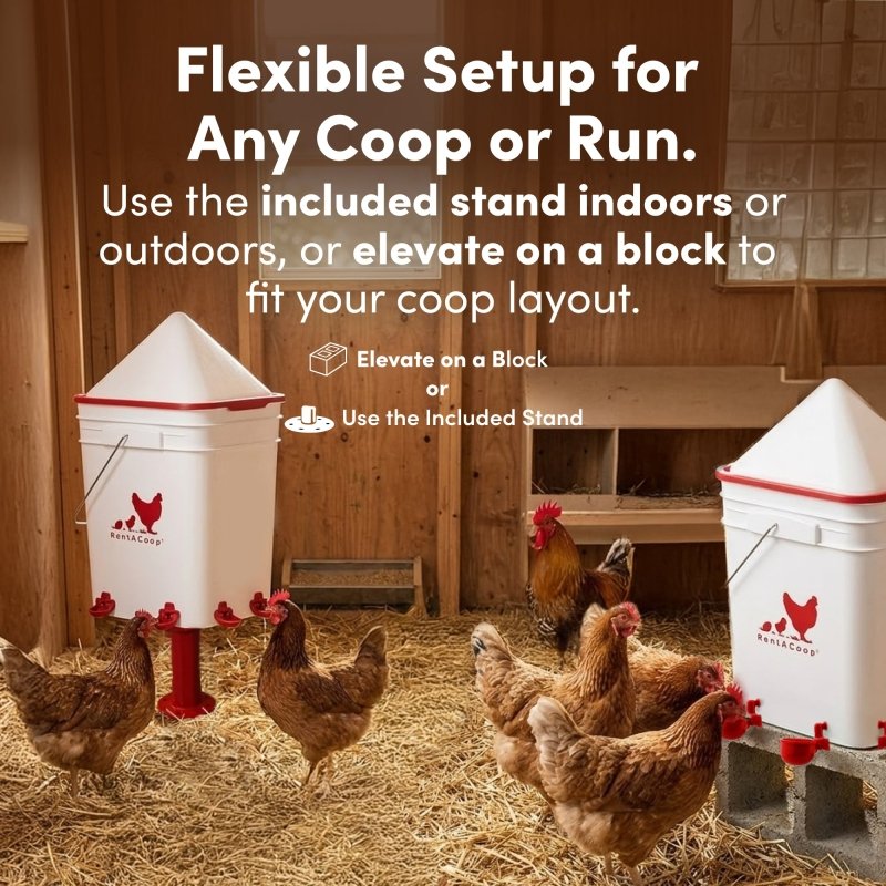 RentACoop 5 Gallon Chicken Waterer with 4 Auto-Fill Water Cups, 4 Horizontal nipples, and Adjustable Stand - Corner Placement