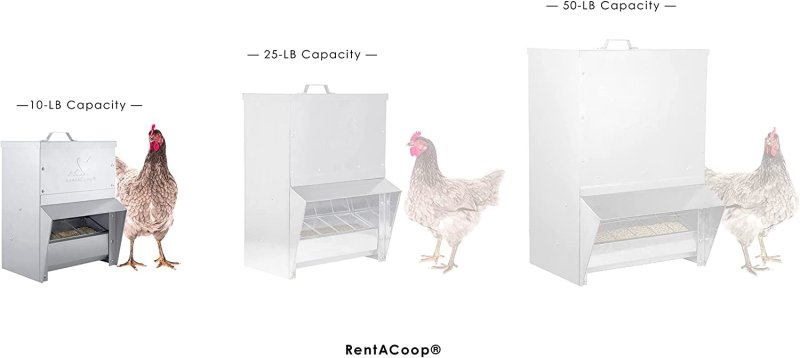 RentACoop Galvanized Chicken Tough Feeder - 10lb