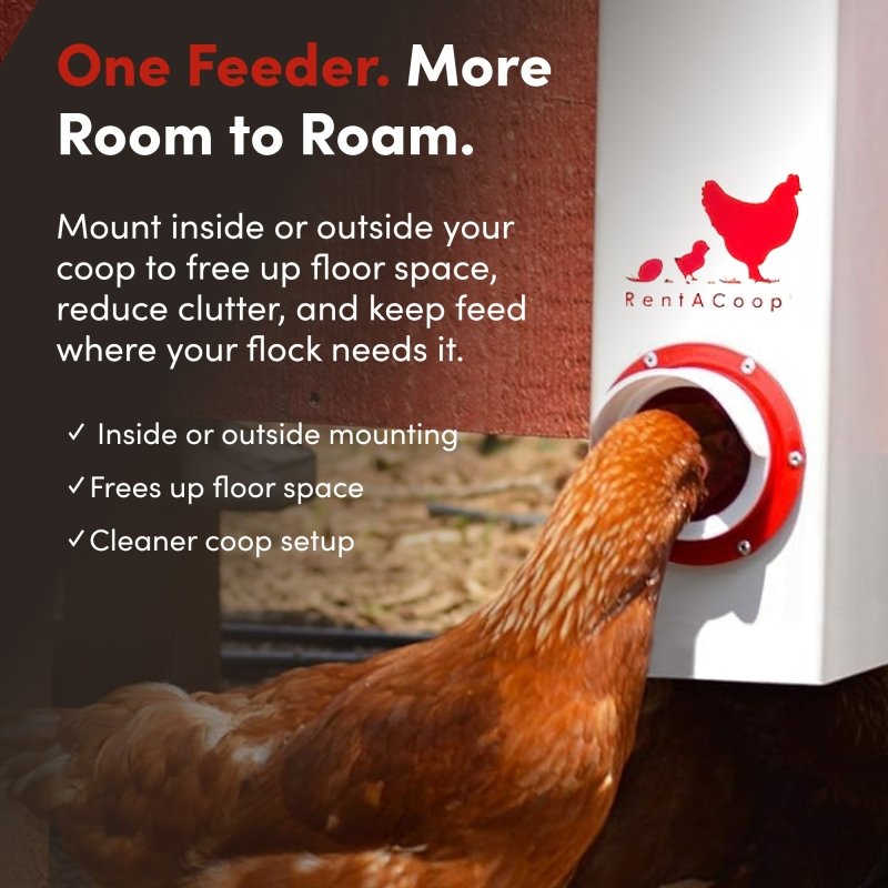 BPA-Free Single-Port Chicken Feeder -10lb Capacity