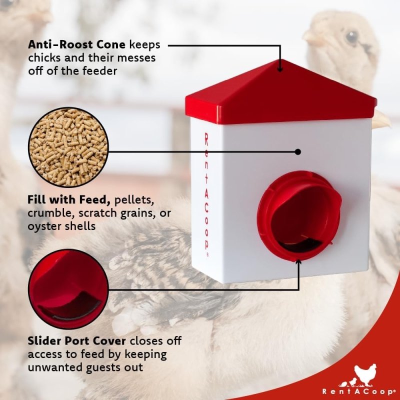 2.5lb Chick2Chicken BPA-Free Chicken Feeder