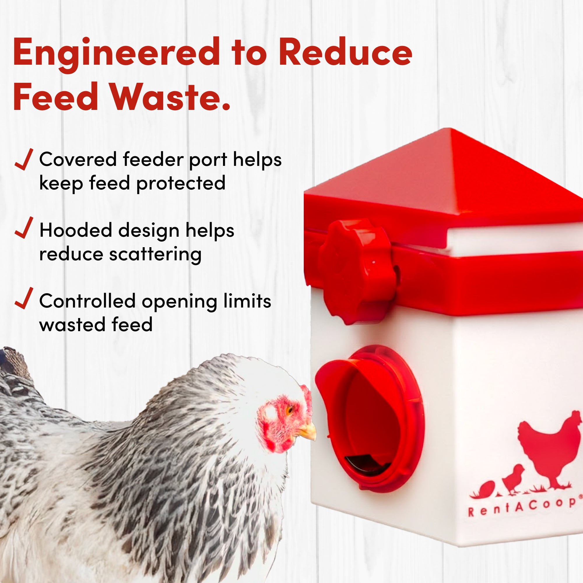 RentACoop Chick2Chicken 2.5lb BPA-Free Single-Port Feeder
