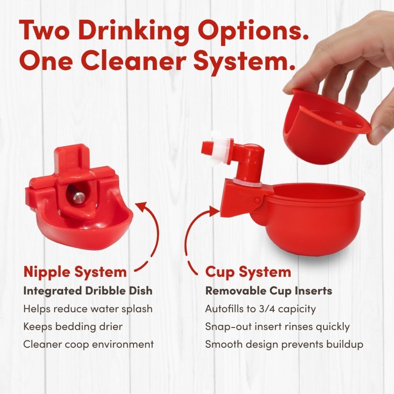 RentACoop 5 Gallon Chicken Waterer with 4 Auto-Fill Water Cups, 4 Horizontal nipples, and Adjustable Stand - Corner Placement