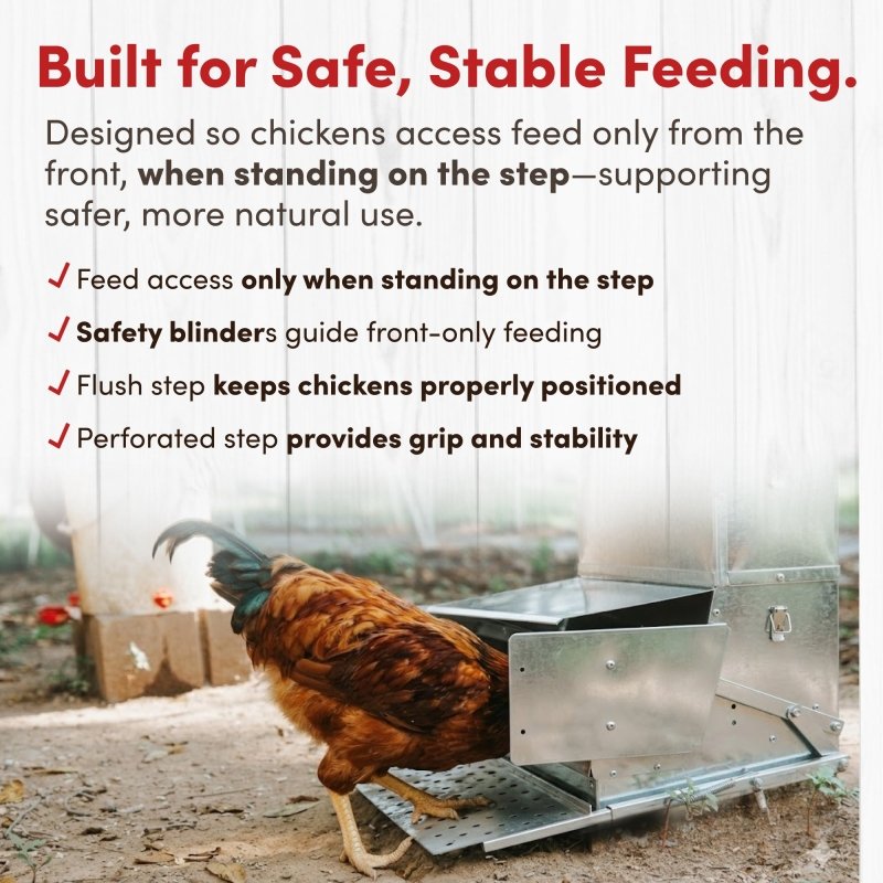 RentACoop 40 lb Automatic Treadle Chicken Feeder