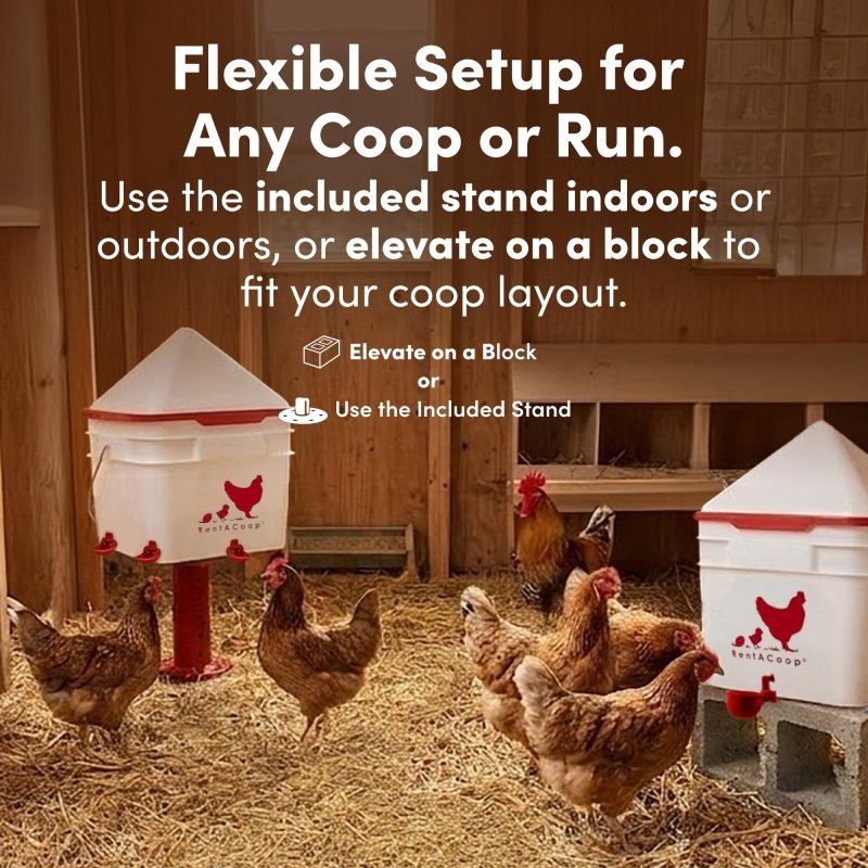 RentACoop 2 Gallon Chicken Waterer with 4 Auto-Fill Water Cups and 4 Horizontal nipples