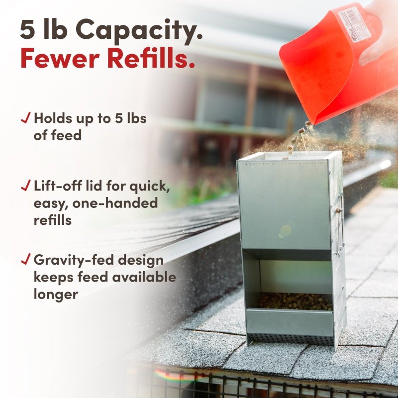 RAC Paws by RentACoop 5 Pound Metal Trough Feeder for Rabbits, Guinea Pigs, Ferrets, and Other Small Animals