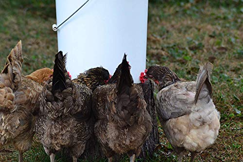 Make Your Own Chicken Waterer Kit - Horizontal Chicken Nipples 50-Pack + Installation Piece