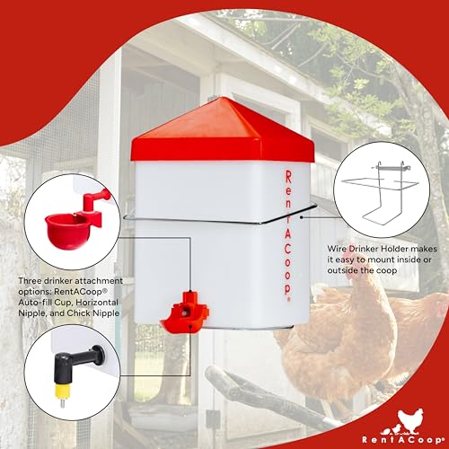 2.5 Pound Chick2Chicken Medium Port Feeder and 64 Ounce (2 Liter) Drinker Set