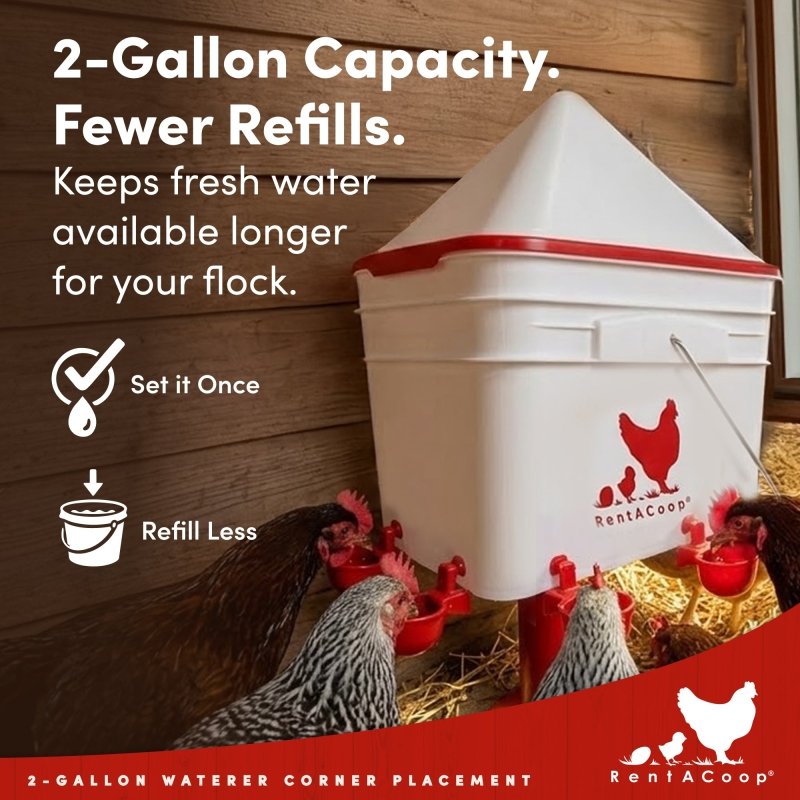 RentACoop 2 Gallon Chicken Waterer with 4 Cups and 4 Nipples - Corner Placement