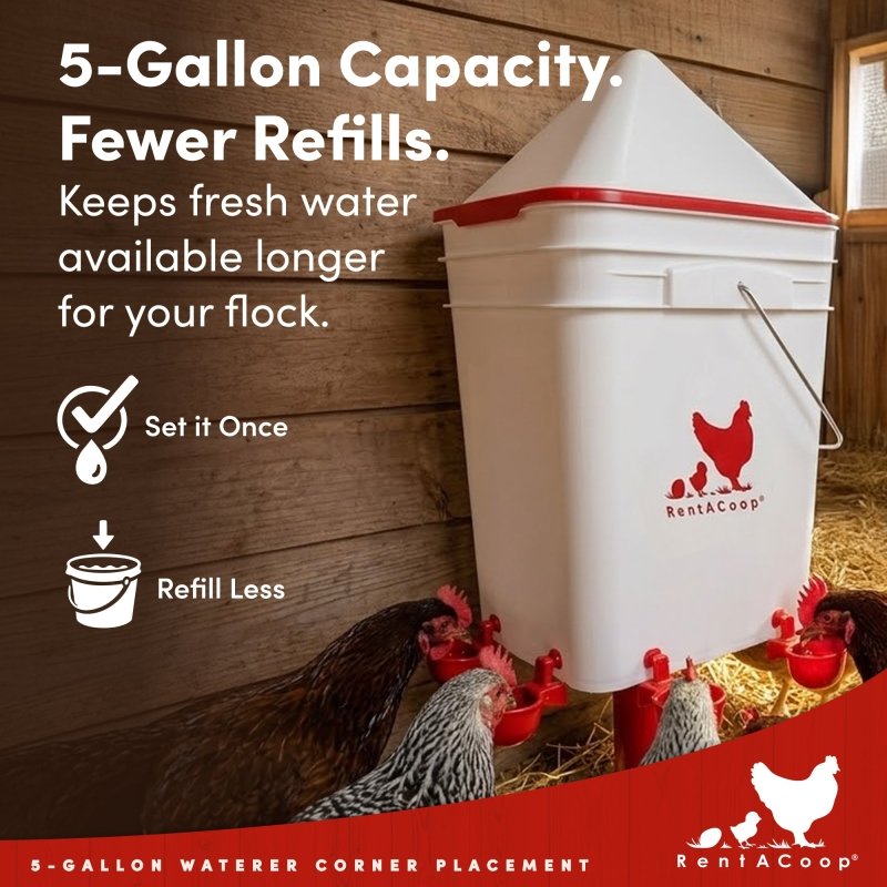RentACoop 5 Gallon Chicken Waterer with 4 Auto-Fill Water Cups, 4 Horizontal nipples, and Adjustable Stand - Corner Placement
