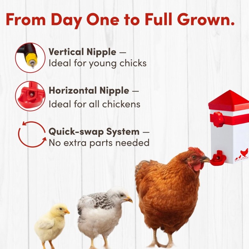 RentACoop 32oz(1L) Drinker Plus 2 Versatile Nipples - Suitable for Chicks, Quail, Pigeons, Doves, and Other Smaller Birds