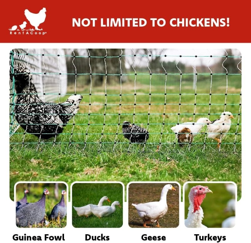 42" Electric Poultry Fencing - Suitable for Chickens, Ducks, Turkeys, and Other Poultry