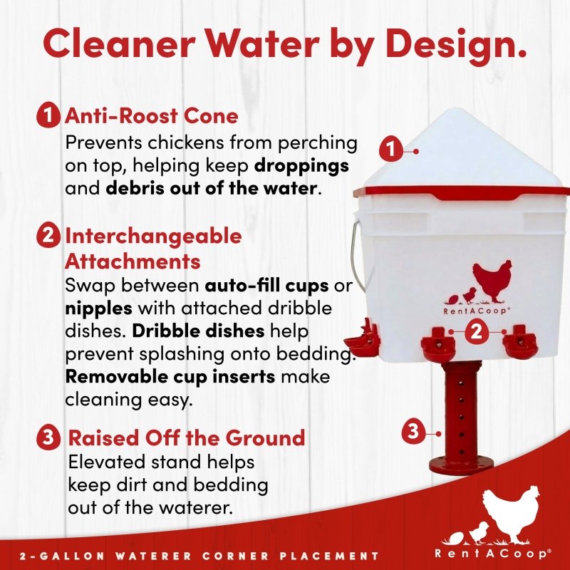 RentACoop 2 Gallon Chicken Waterer with 4 Cups and 4 Nipples - Corner Placement