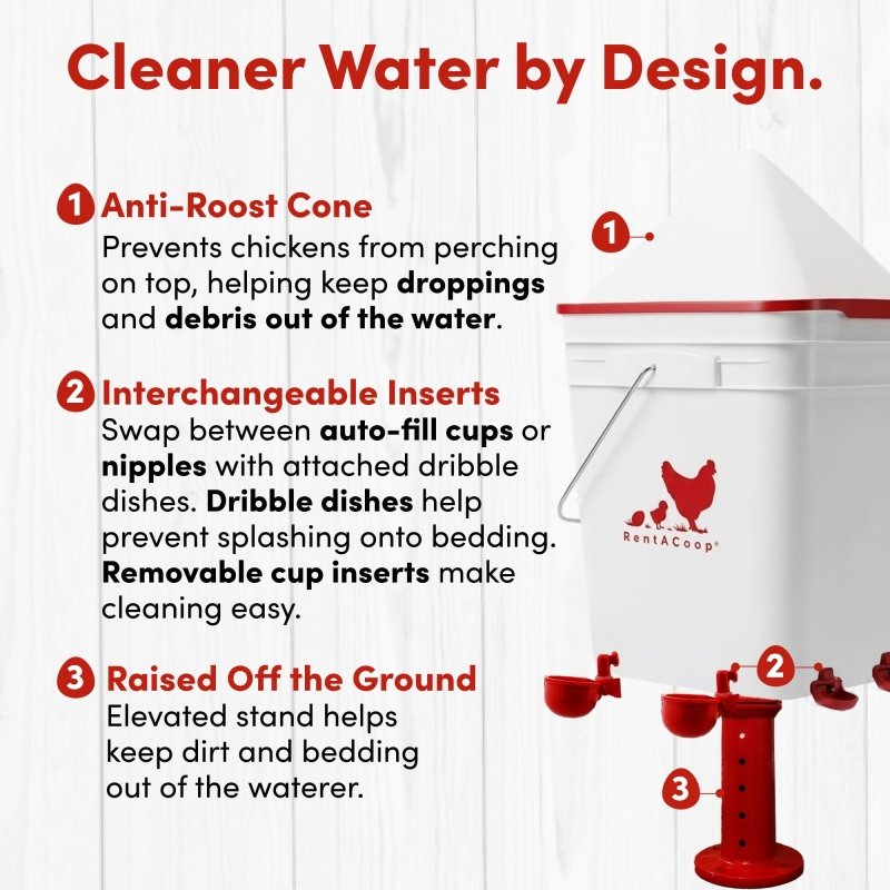 RentACoop 5 Gallon Chicken Waterer with 4 Auto-Fill Water Cups, 4 Horizontal nipples, and Adjustable Stand - Corner Placement