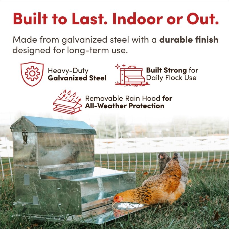 RentACoop 40 lb Automatic Treadle Chicken Feeder