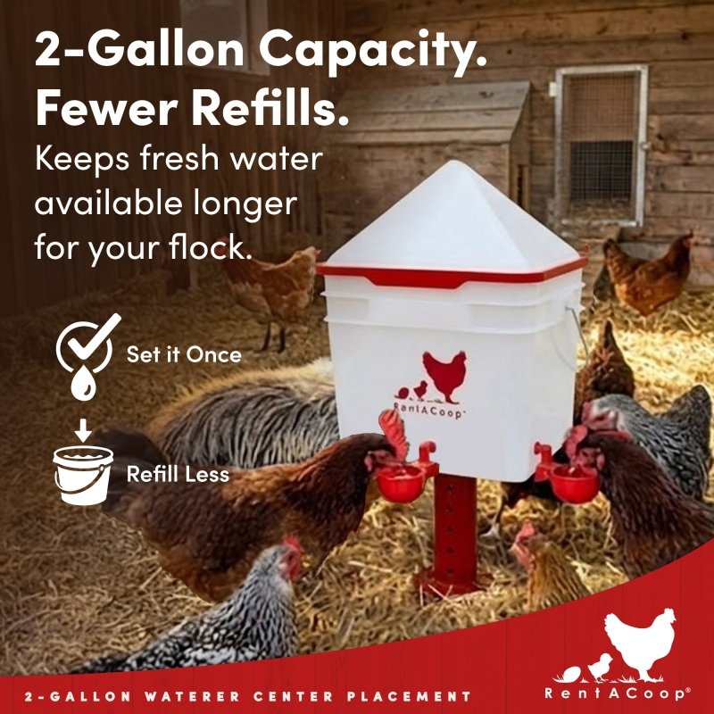 RentACoop 2 Gallon Chicken Waterer with 4 Auto-Fill Water Cups and 4 Horizontal nipples