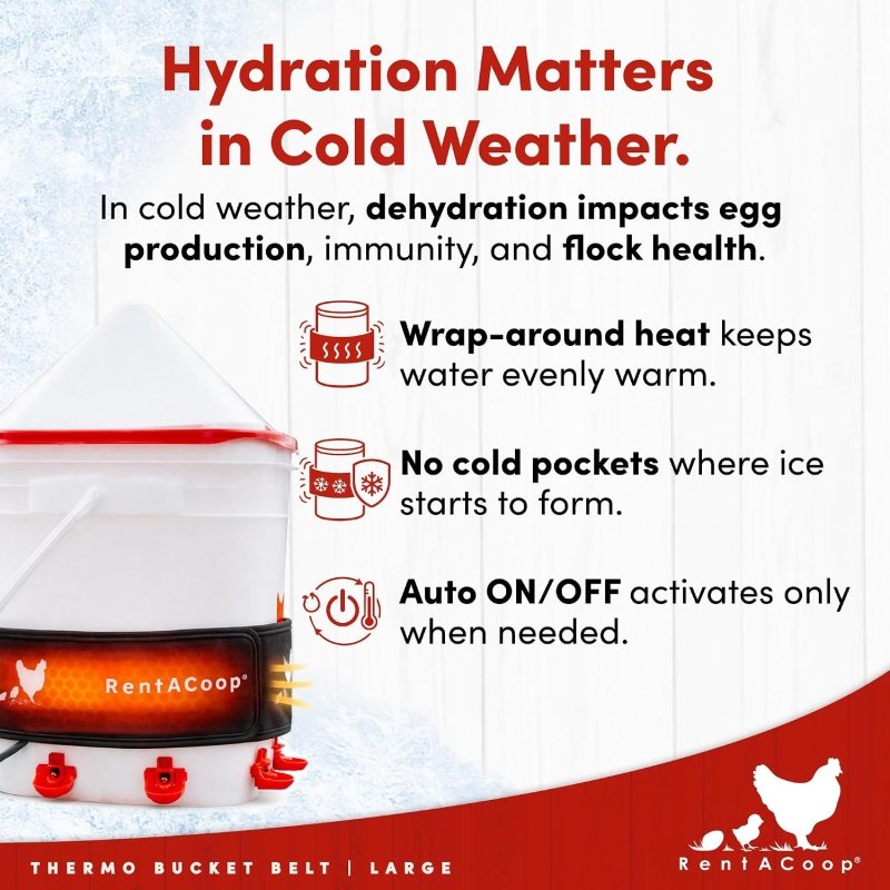 RentACoop Thermo Bucket Belt Lg & 2 Gal Corner Waterer