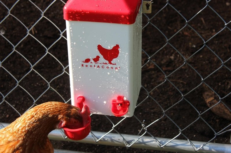 1 Gallon Chicken Waterer with 2 Auto-Fill Cups, Horizontal Nipples and Anti-Roost Cone