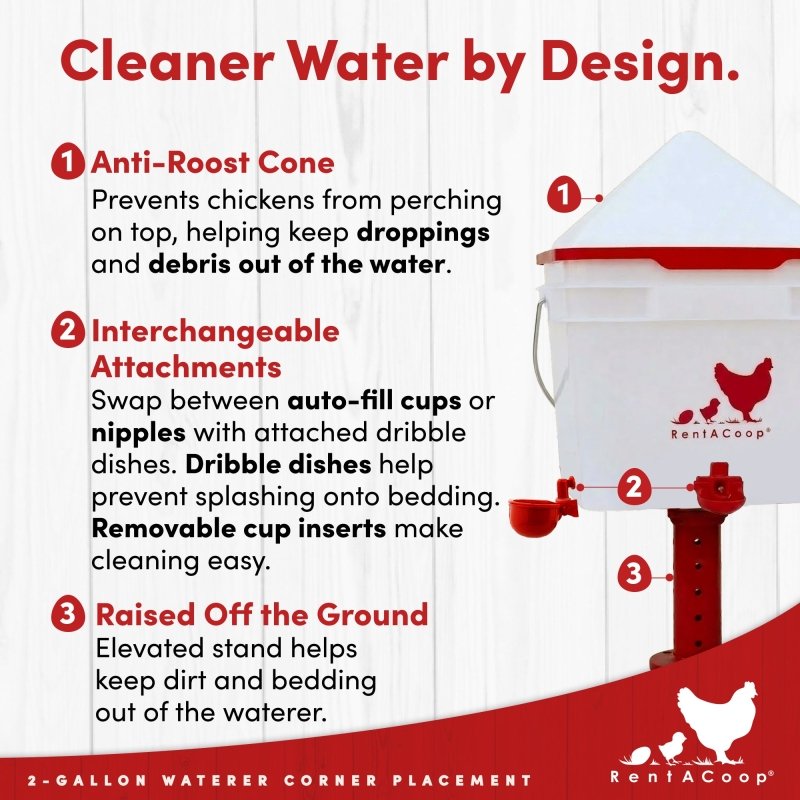 RentACoop 2 Gallon Chicken Waterer with 4 Auto-Fill Water Cups and 4 Horizontal nipples