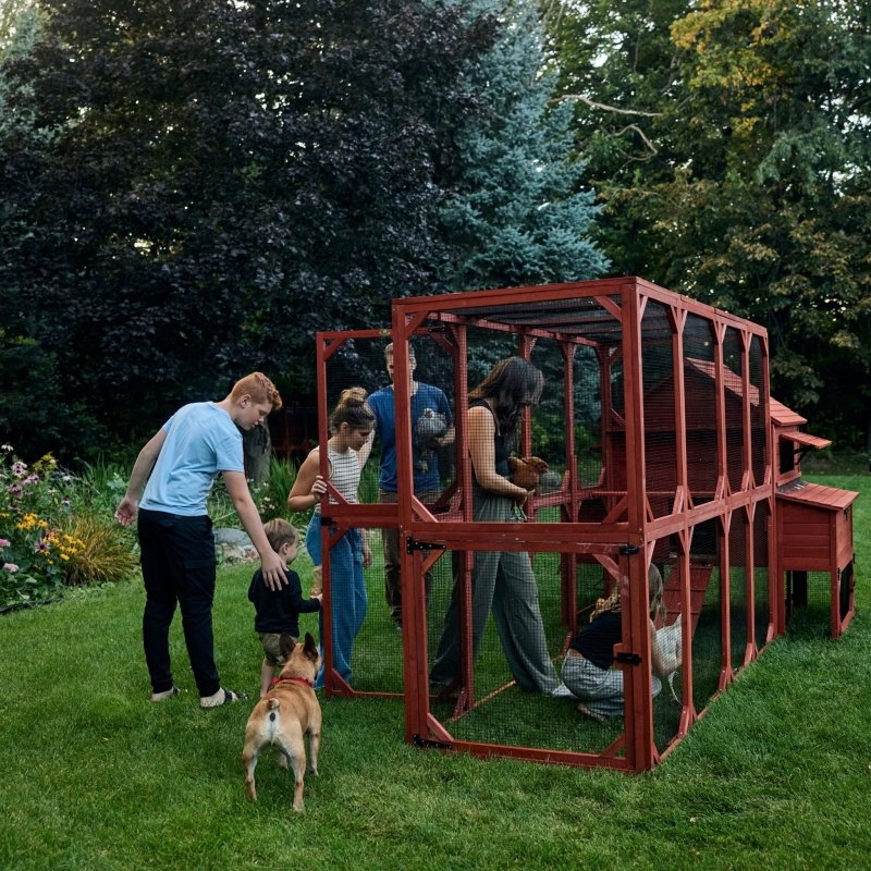 Chicken Coop for 10 Chickens – Rhode Island Homestead Coop with Run Extension Options