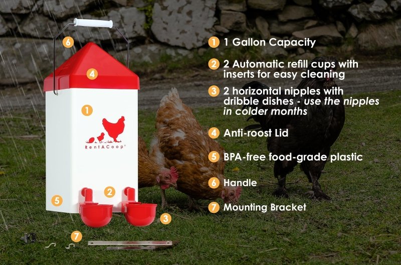 1 Gallon Chicken Waterer with 2 Auto-Fill Cups, Horizontal Nipples and Anti-Roost Cone