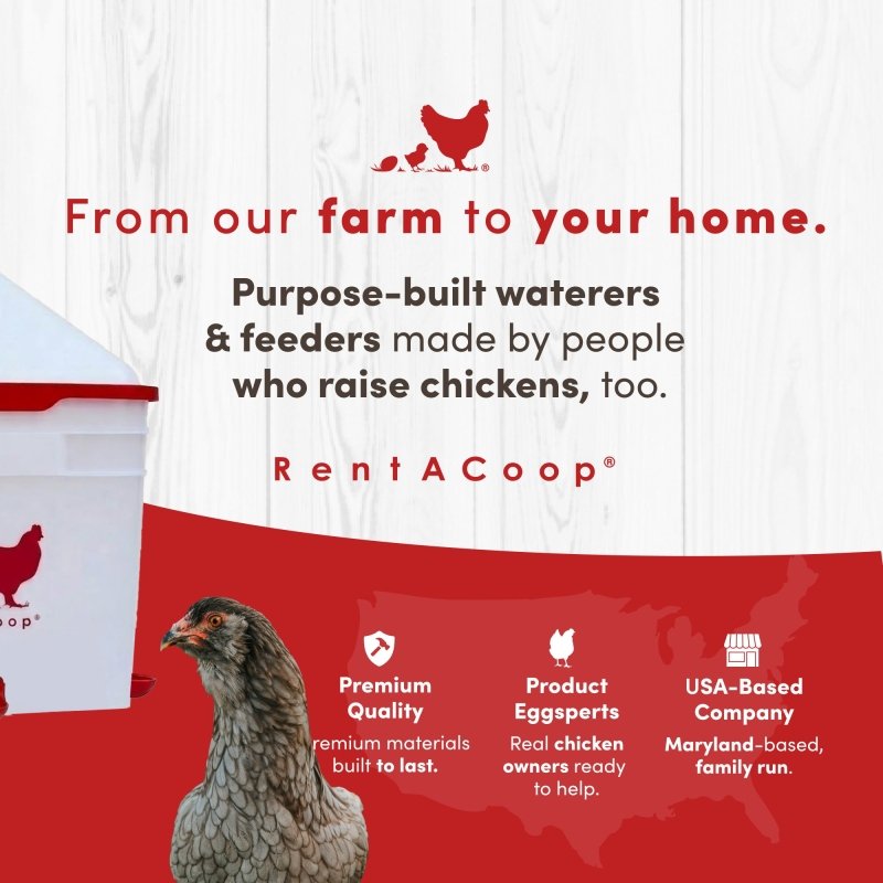 RentACoop 2 Gallon Chicken Waterer with 4 Auto-Fill Water Cups and 4 Horizontal nipples