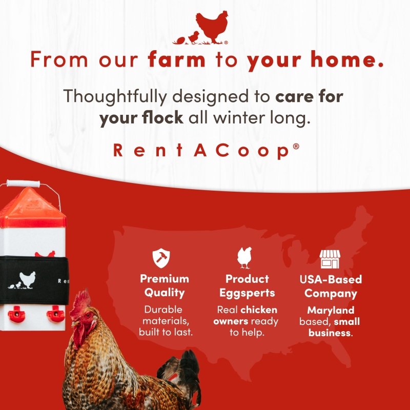 RentACoop 2 Gal High Rise Waterer & SM Thermo Bucket Belt Bundle