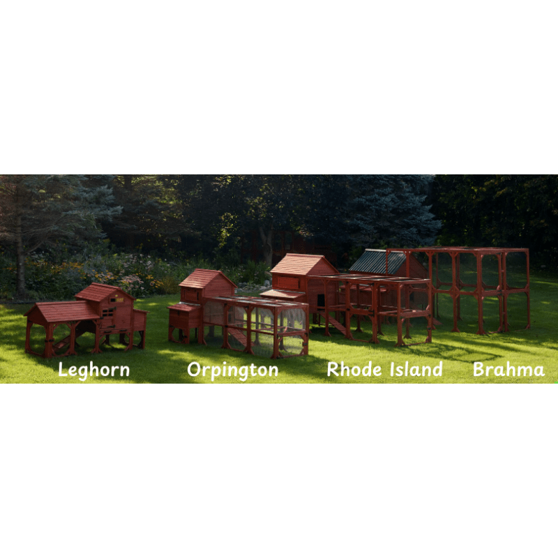 Chicken Coop for 15 Chickens – Brahma Chicken Coop with Run Extension Options