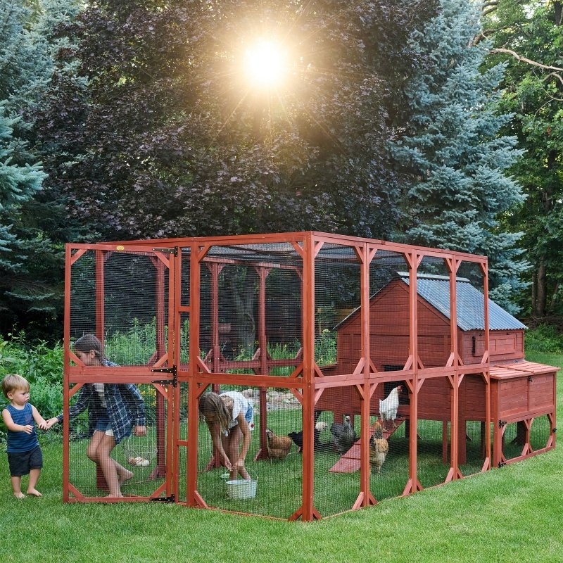 Chicken Coop for 15 Chickens – Brahma Chicken Coop with Run Extension Options