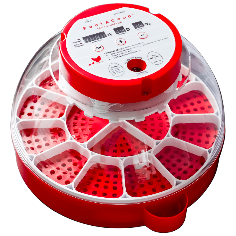 CFA / Paul Egg - Tronic Revolution 12インチ RentACoop 16-Egg Smart Incubator – App Controlled
