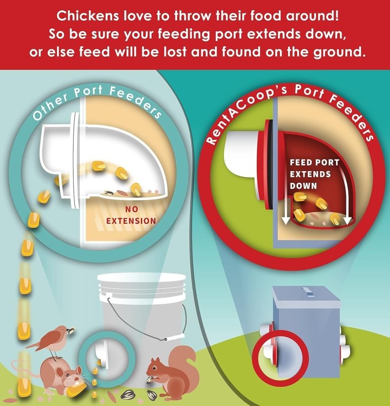 BPA-Free Single-Port Chicken Feeder -10lb Capacity