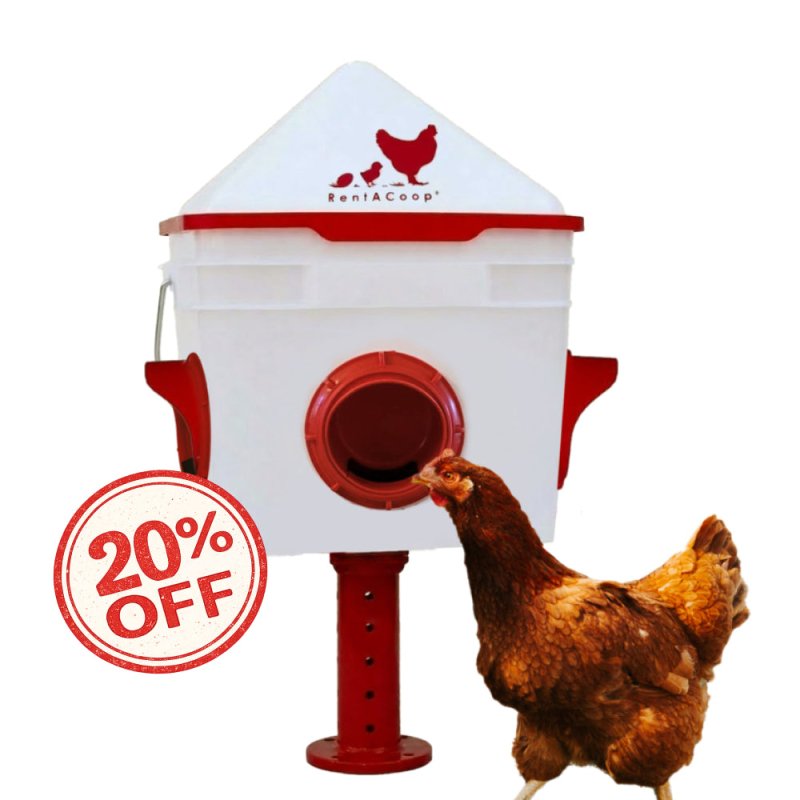 RentACoop 10lb Chick2Chicken 4-Port Chicken Feeder