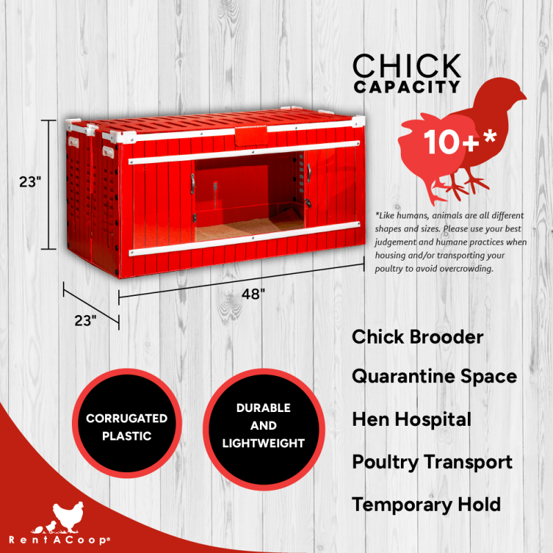 RentACoop Big Red Barn Set and Incubator Bundle