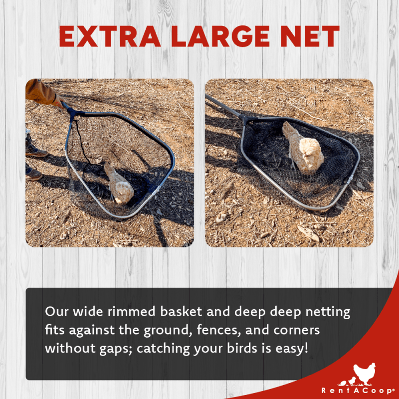 RentACoop Cluck Catcher Chicken Catching Net for All Poultry