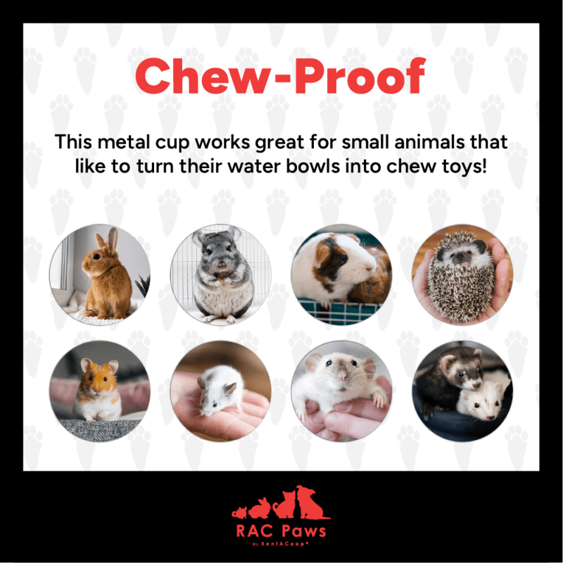 RAC Paws by RentACoop DIY Auto-Fill Metal Cup Waterer Kit 6-Pack - Great for Small Animals, Pets, Bunnies, Ferret, Chickens, Hamsters, Guinea Pigs, Rabbits, Chinchillas, Mice, Rats