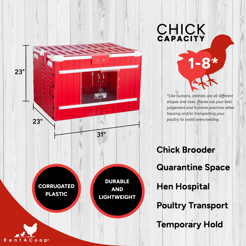 RentACoop Little Red Barn Set & Incubator Bundle