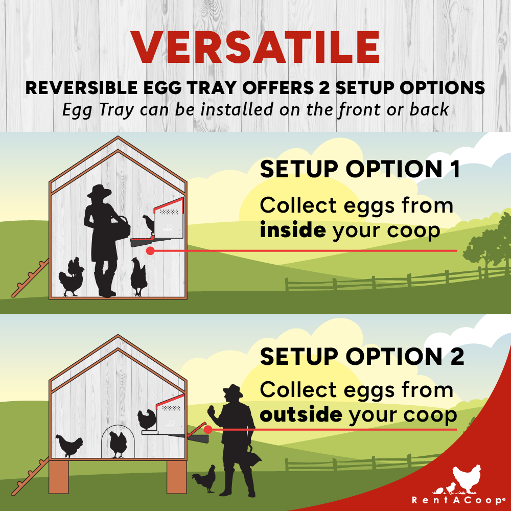 RentACoop Roll-Out Reversible Nesting Box Suite