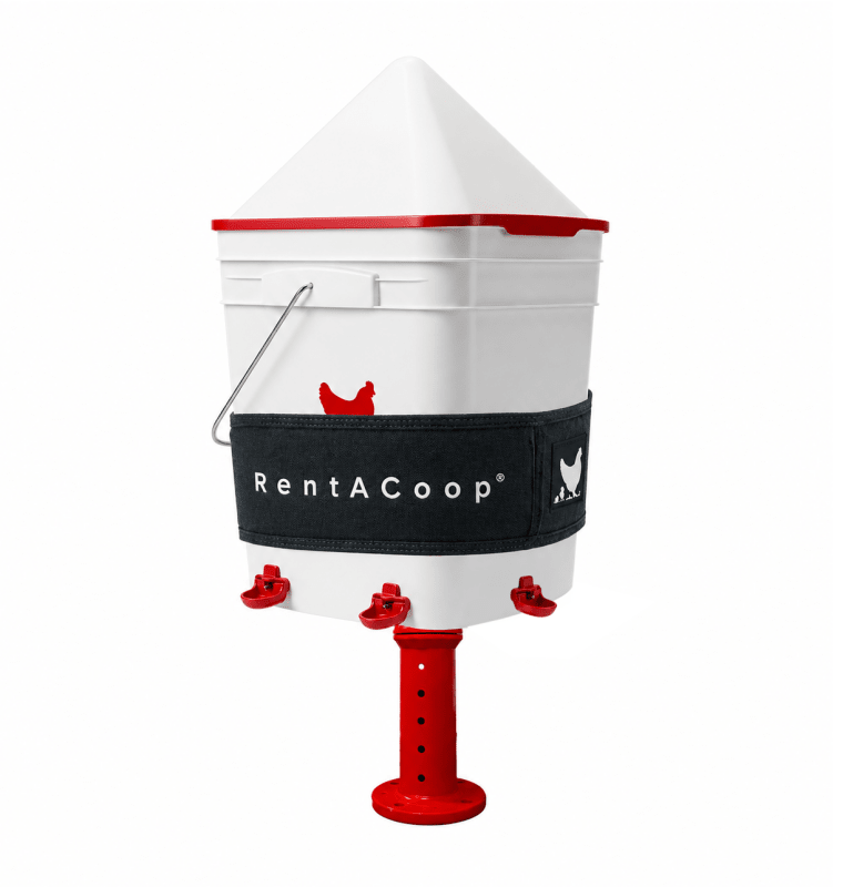 RentACoop 5 Gal Center Waterer & Lg Thermo Bucket Belt Bundle