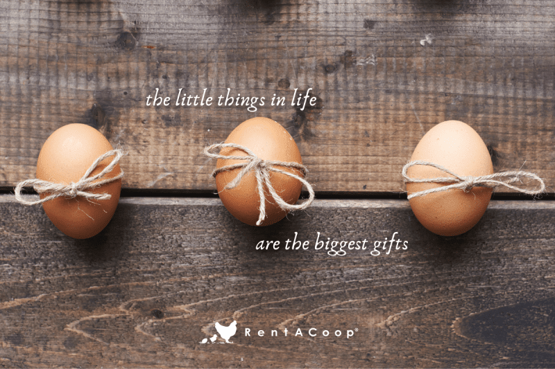 ‘Tis the Season: Our Thoughts on Thoughtful Gifting