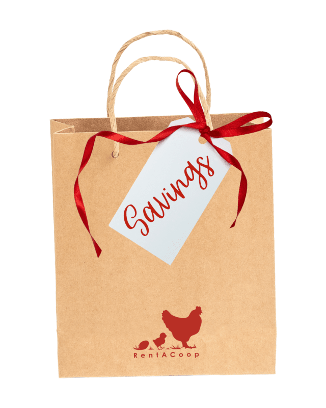 ’Twas the Night Before Christmas: The Ultimate Gift Guide for Chicken Keepers