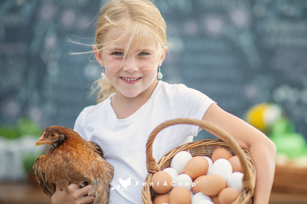Roll-Out Nesting Boxes: A Simple Solution for Cleaner Eggs
