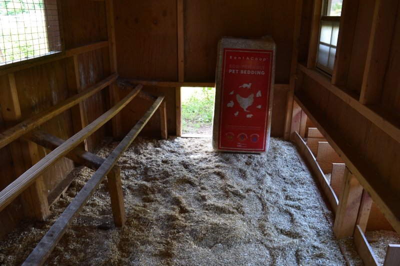 Fall Chicken Coop Cleanup Cycle: From Garden to Coop to Compost