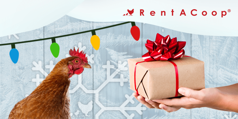 5 Holiday Gifts for Chicken Keepers and Animal Lovers | RentACoop