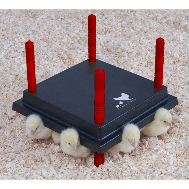 RentACoop® Heat Plate Instructions (all sizes)