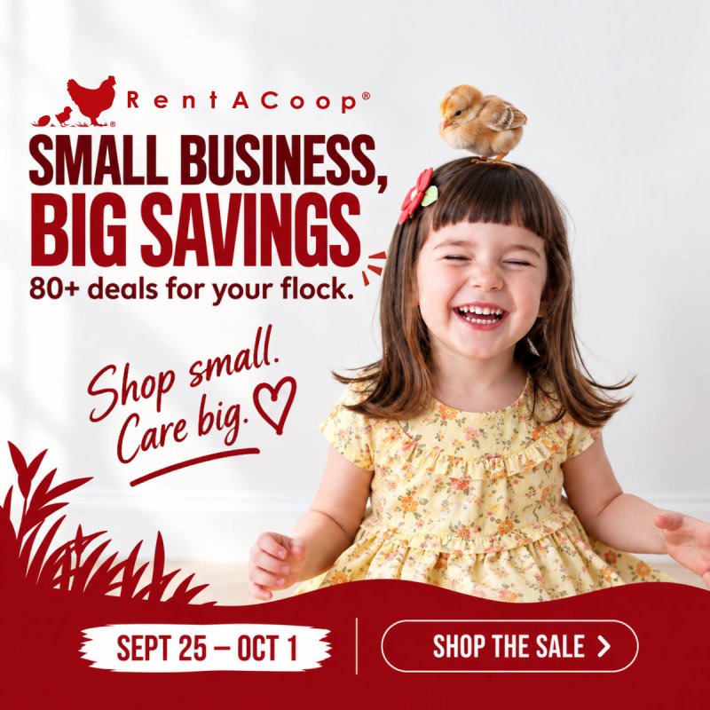 Small Business, Big Savings